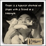 Kittism-harvest